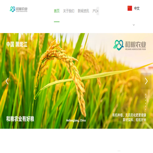和粮农业集团