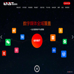 昆山网络公司【恩斯特】