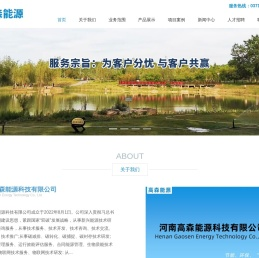 河南高森能源科技有限公司