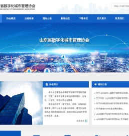 山东省数字化城市管理协会