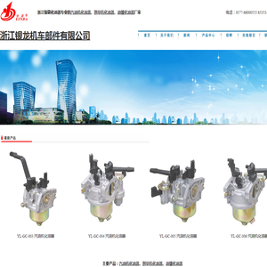 通用汽油机化油器