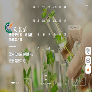 陕西植物提取
