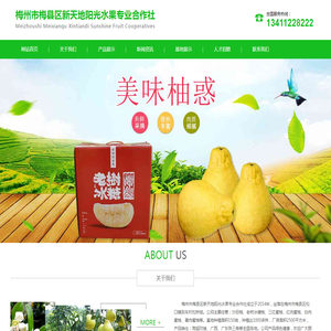 梅州沙田柚,老树冰糖柚,梅州三红蜜柚,梅州红肉蜜柚,梅州白肉蜜柚