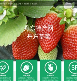 丹东草莓网
