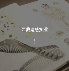 西藏迦慈实业股份有限公司