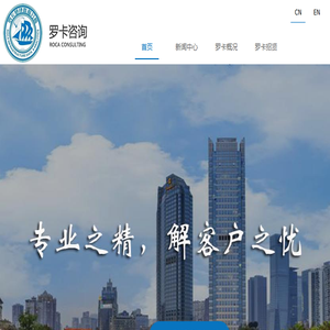 罗卡咨询