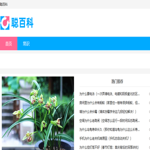 聪百科