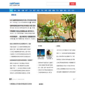 我国将建数网数纽数链数脑数盾体系