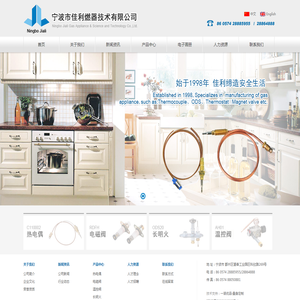 宁波市佳利燃器科技有限公司