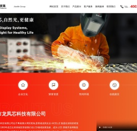 深圳市龙凤芯科技有限公司