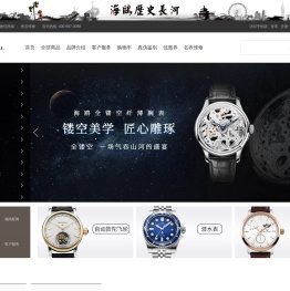 海鸥表官方商城