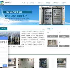 上海盛堃电气有限公司