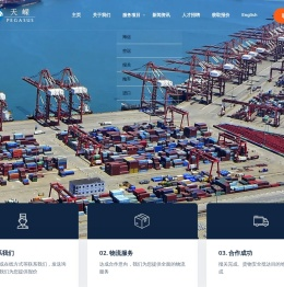 广东天嵘国际供应链有限公司