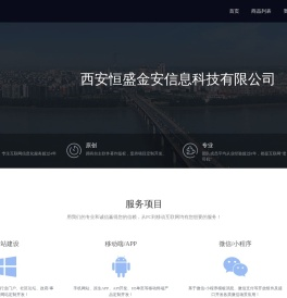 西安恒盛金安信息科技有限公司
