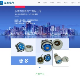 乐清市友泰电气有限公司