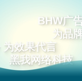 BHW互联网广告代运营