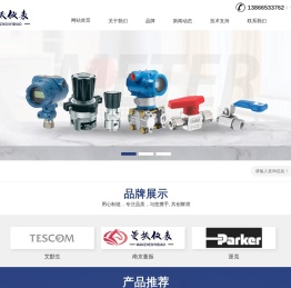 南京曼振自动化仪表有限公司