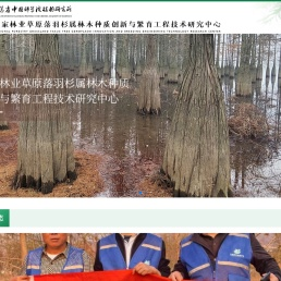 中山杉研究网