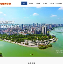 绵阳市商务协会