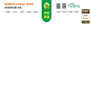曹县华东芦笋科技服务有限公司,山东芦笋种子销售,刘保真芦笋种植技术,芦笋种植基地