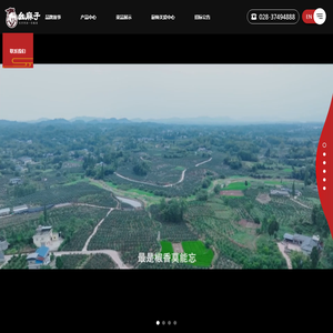 幺麻子食品股份有限公司