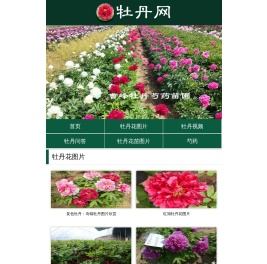 牡丹网