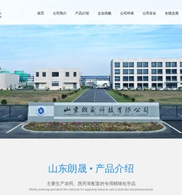 山东朗晟科技有限公司