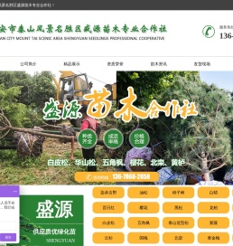 泰安市泰山风景名胜区盛源苗木专业合作社