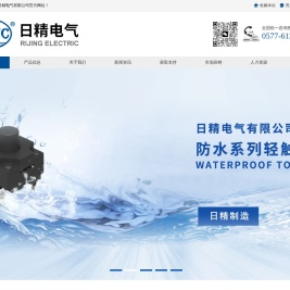 乐清市日精电气有限公司