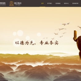 深圳市德正嘉成投资管理有限公司