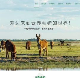 英大驴掌柜毛驴网