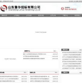 山东鲁华招标有限公司