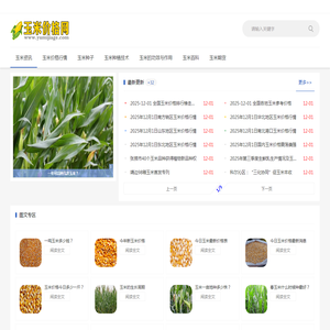 玉米价格网