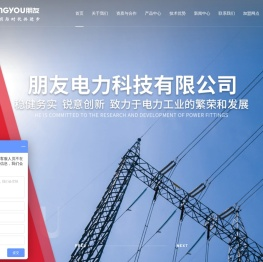 朋友电力科技有限公司