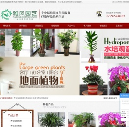 西安绿植租摆