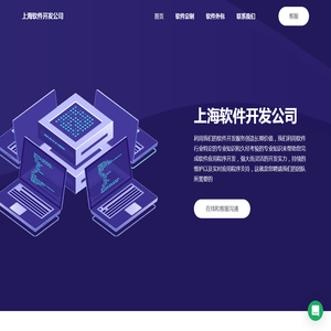 上海软件开发公司
