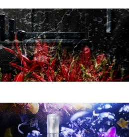 POLA官方｜抗老美白护肤品