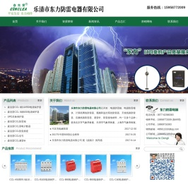 乐清市东力防雷电器有限公司