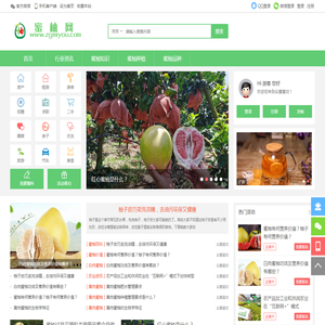 蜜柚,柚子,蜜柚知识,平和蜜柚,红肉蜜柚,三红蜜柚,黄肉蜜柚