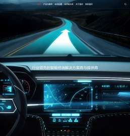 深圳奥尼电子股份有限公司