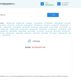 IP地址查询