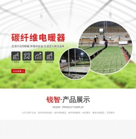 山东锐智新能源科技有限公司