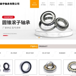 瓦房店森宇轴承有限公司