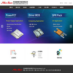 尼克森微電子股份有限公司