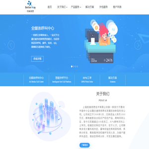 上海柏维信息技术有限公司