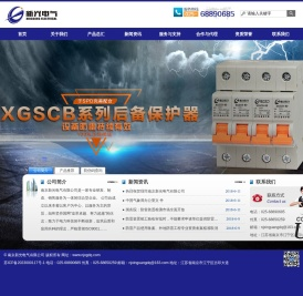 南京新光电气有限公司