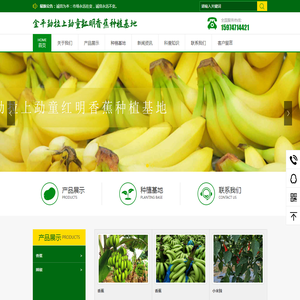 金平勐拉上勐童红明香蕉种植基地