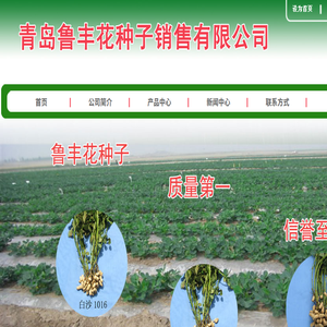 青岛鲁丰花种子销售有限公司