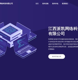 江西派凯网络科技有限公司
