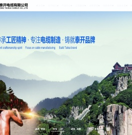 山东泰开电缆有限公司